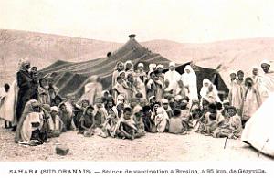 Oran- SDV- 6631-Sud oranais 100